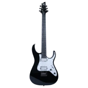 Elektro Gitarlar