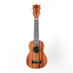 Fenix PS-S100 Soprano Ukulele (Kılıf Hediyeli)