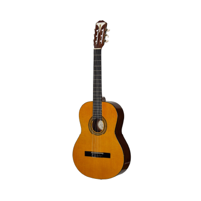 Klasik Gitarlar