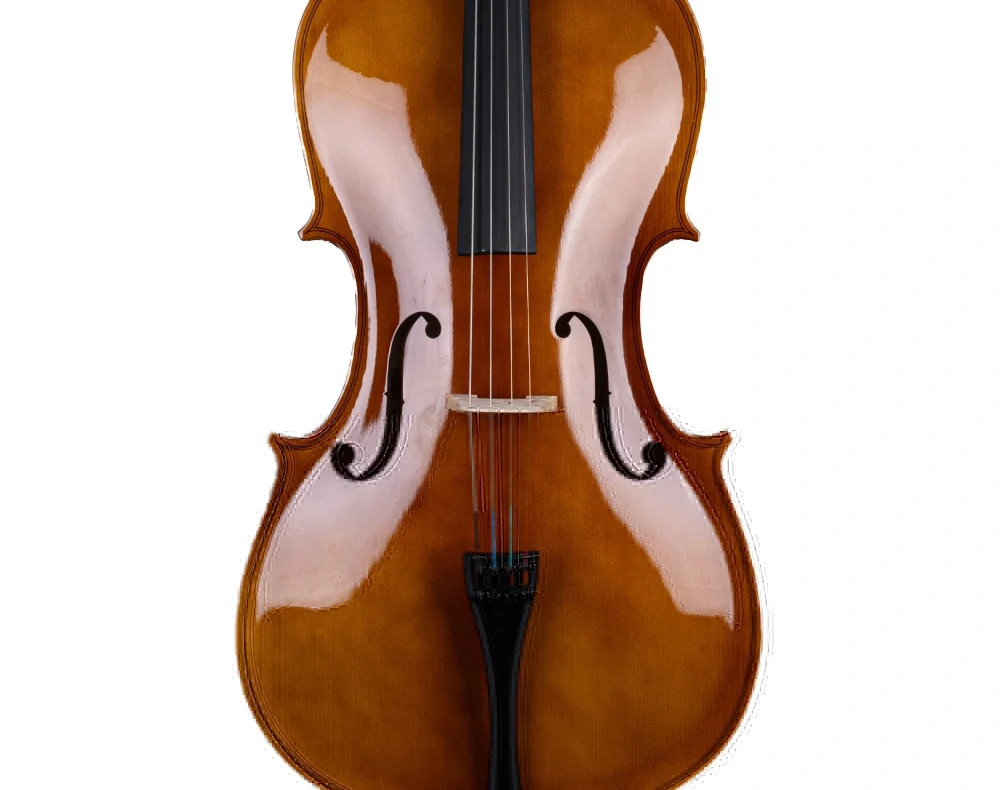 cello-fiyatlari-ve-modelleri