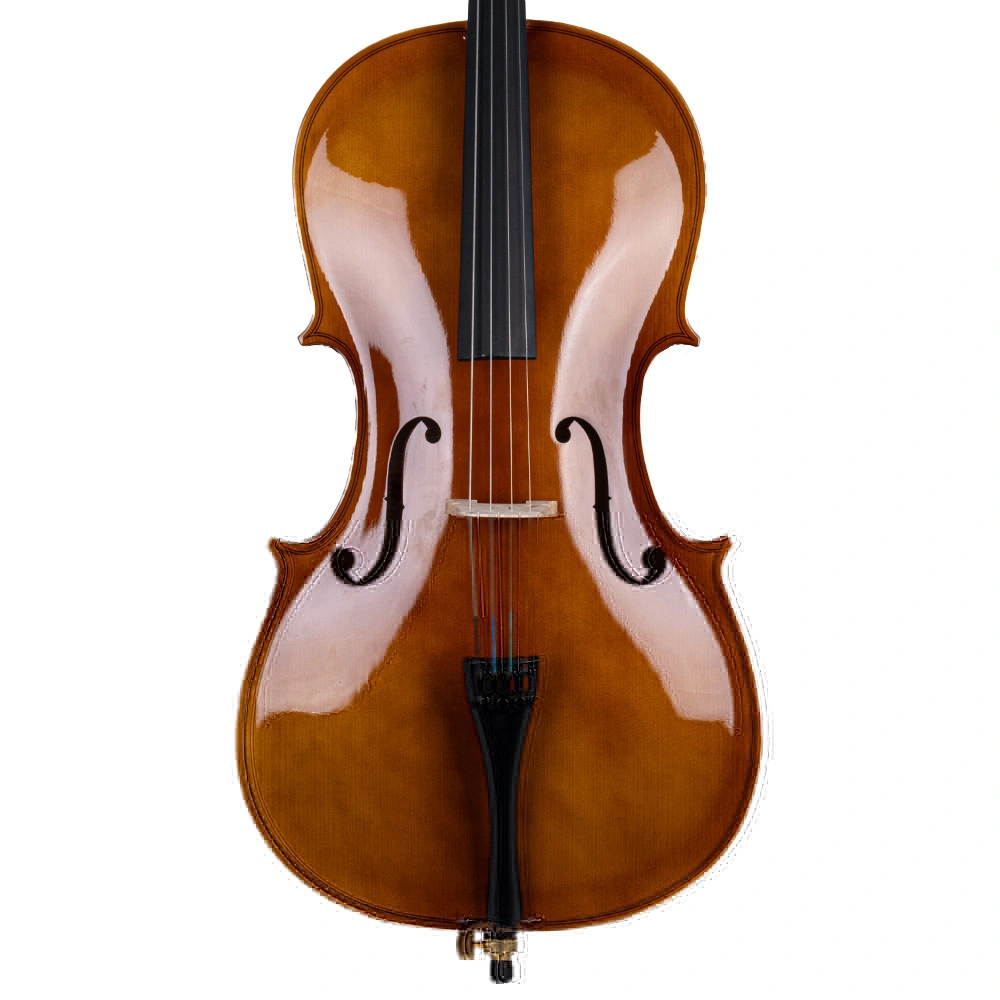cello-fiyatlari-ve-modelleri